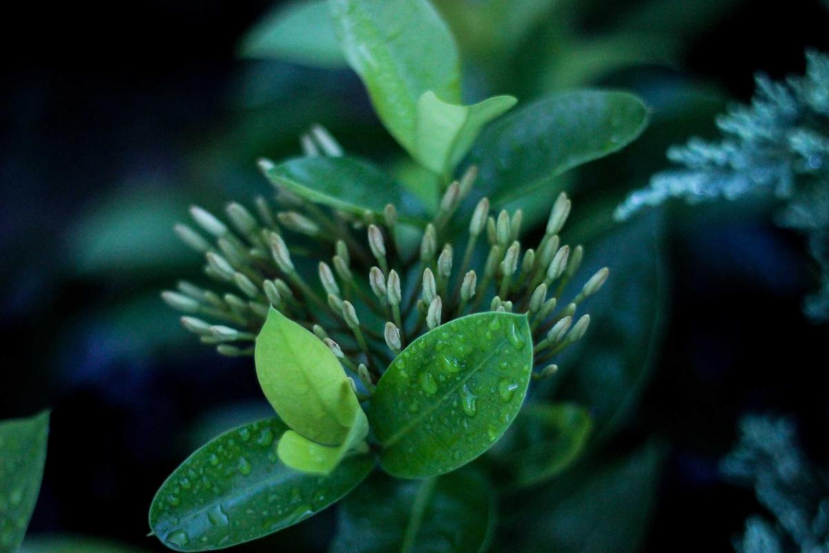 音乐节目导师段子冒犯群体，一个月内幕曝光，节目组紧急叫停